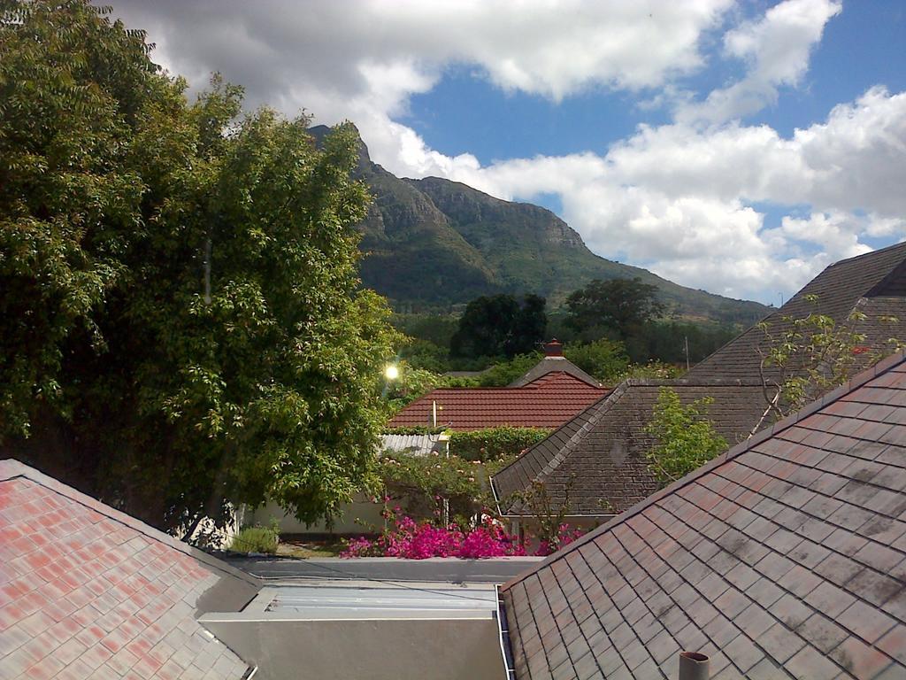 The Lemon Tree Guest house Cape Town