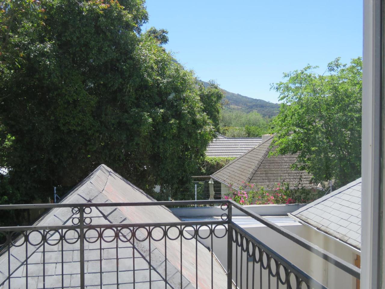 The Lemon Tree